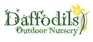 Daffodils